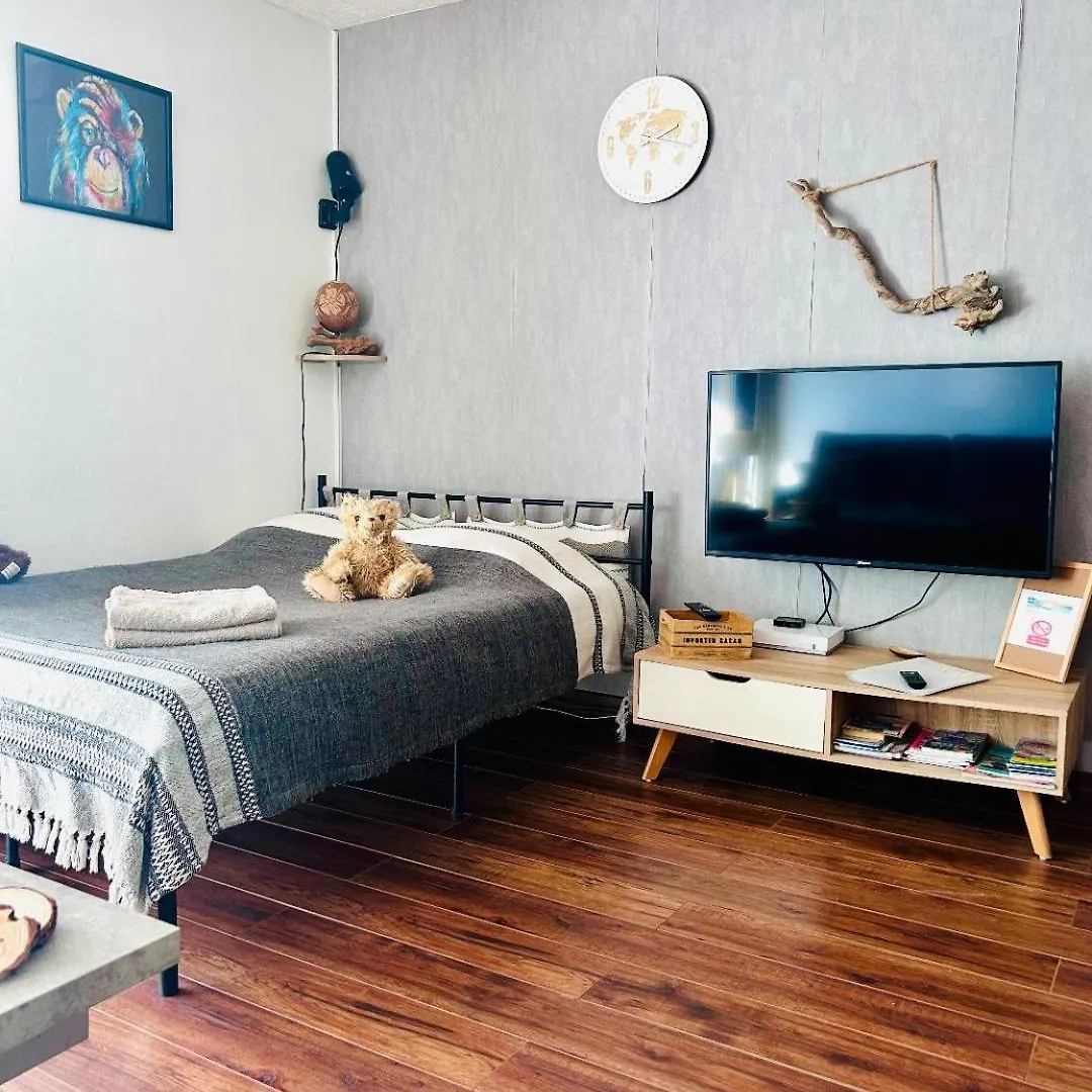 Apartamento STUDIO CLIMATISE Le Flot Bleu tres proche plage, aéroport, centre Cial Cap 3000, port Saint-Laurent-du-Var 0*,  Francia